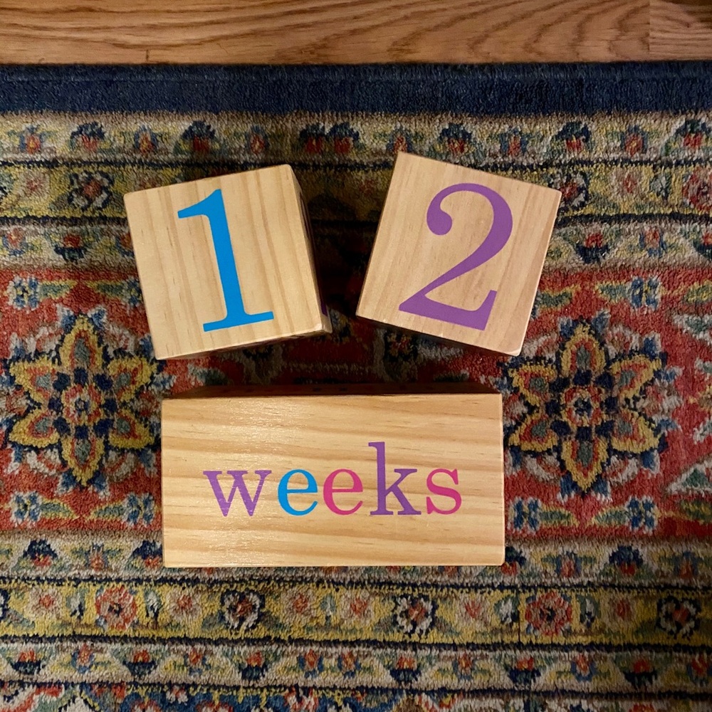 Baby Milestone Blocks